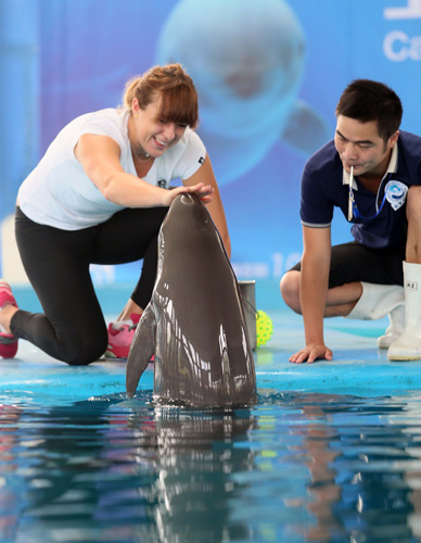 无论是波尔 无论是波尔