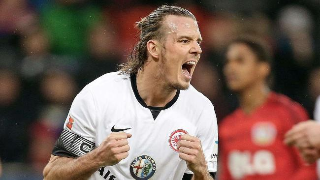 这些努力显 这些努力显