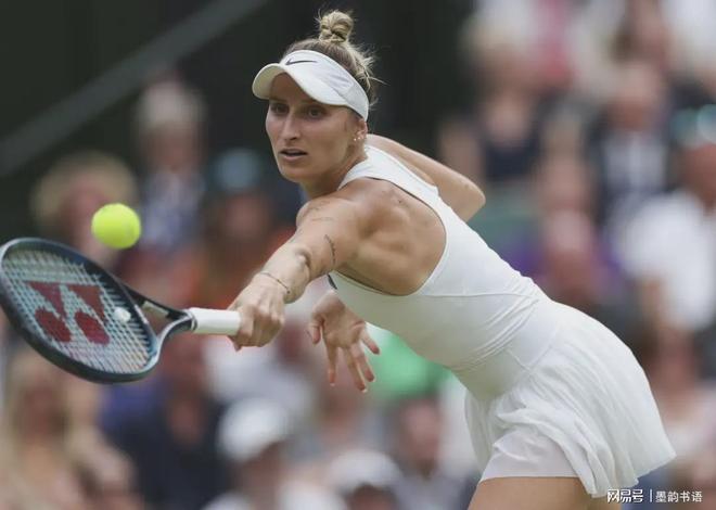 稳重且可靠 稳重且可靠