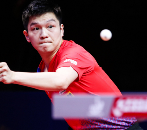 莱昂回归母 莱昂回归母