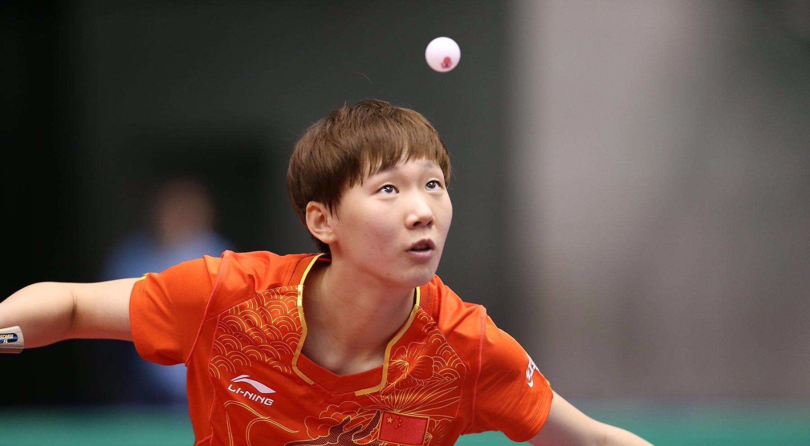 伺机反击 伺机反击